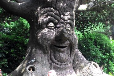 Словарь символов: ДЕРЕВО (ДРЕВО)