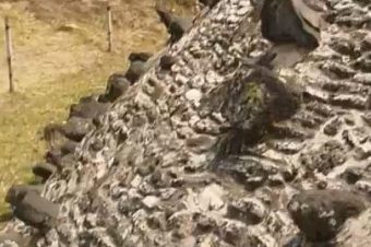 Пирамида города Чолула. Запретные темы истории (видео)