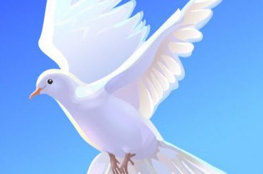 Словарь символов: ГОЛУБЬ